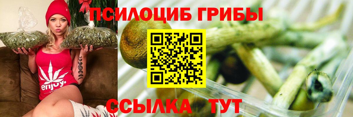 Галлюциногенные грибы ЛСД  Вход с VPN  Лосино-Петровский 